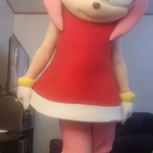 Amy Rose Cosplay Pattern DIY - Sonic Game's
